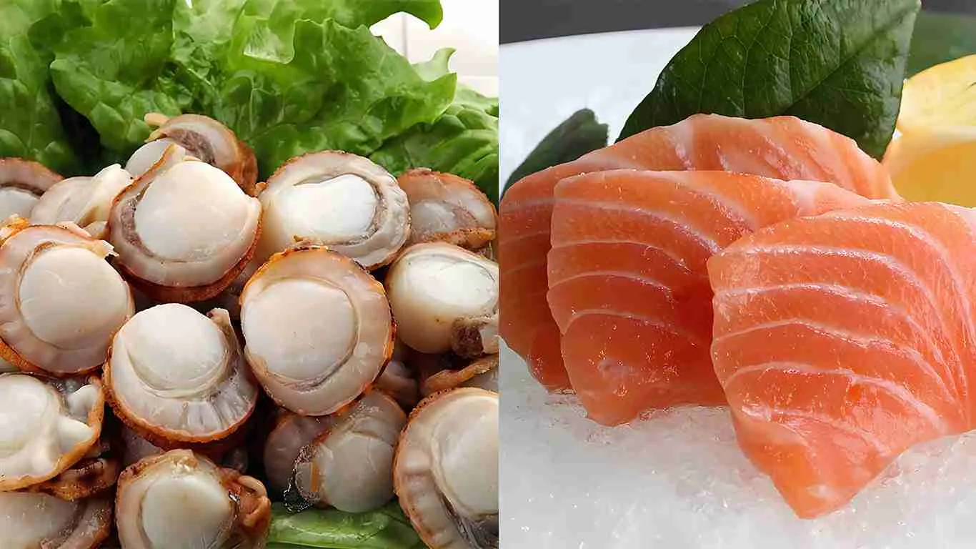 Are Scallops Healthier Than Salmon