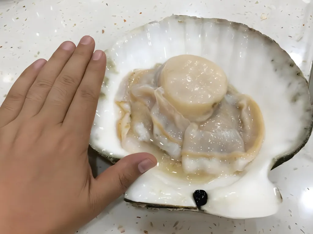 What does mean for u10 scallops? A Culinary and Sizing Guide
