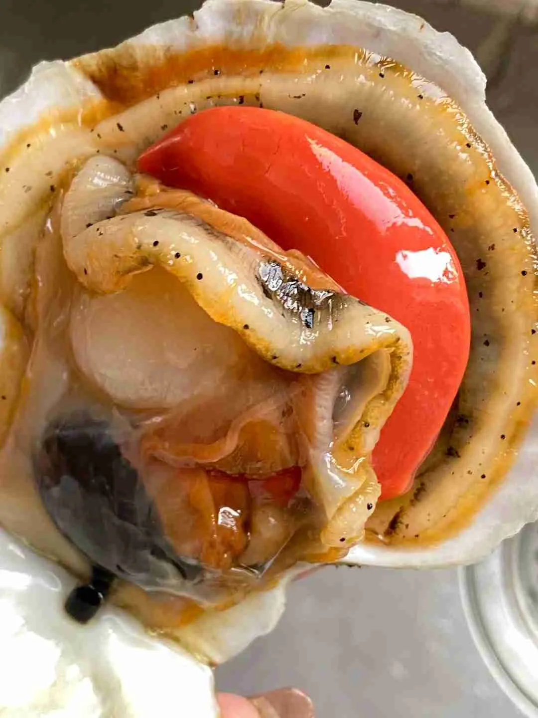 What are sea scallops
