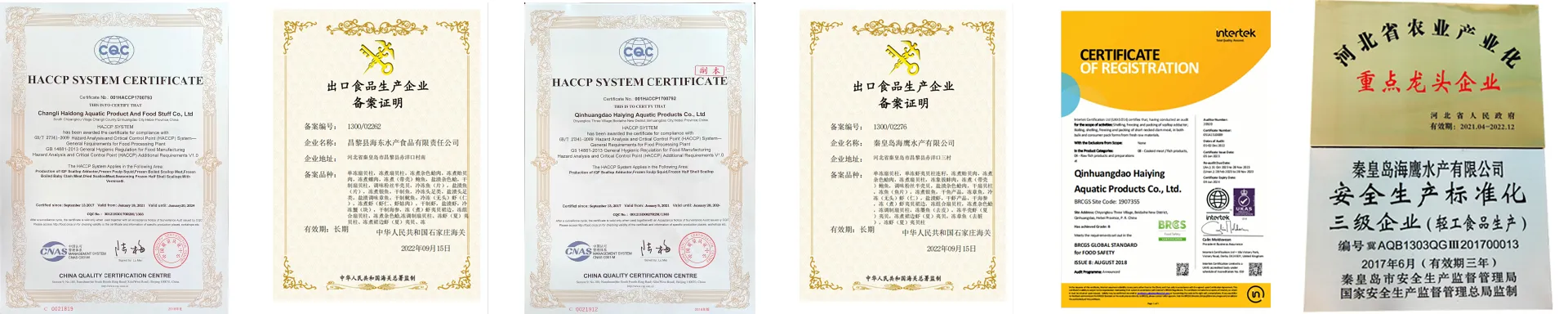haidong certificate