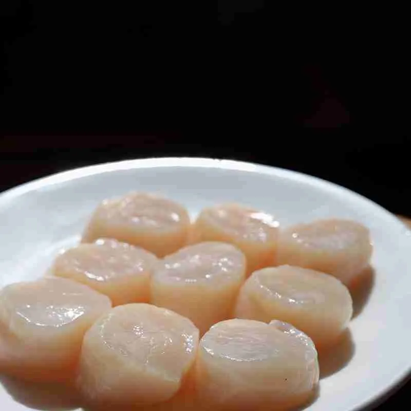 photo of sea scallops