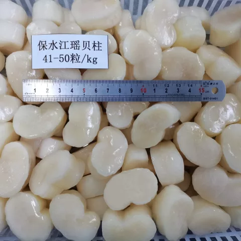 picture of pen shell scallop from haidongseafood41 50