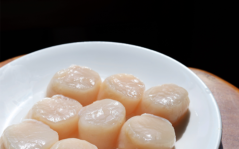 pictures of sea scallops