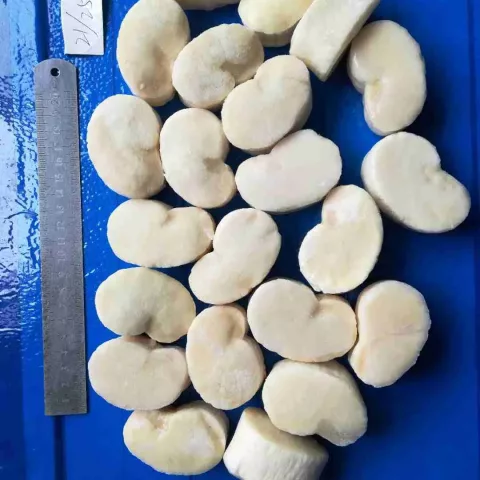 picture of pen shell scallop from haidongseafood