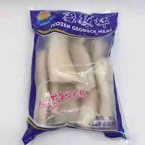 geoduck pictures images