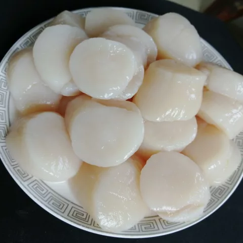 pictures of sea scallops