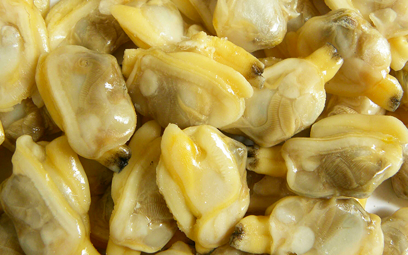 Frozen boiled baby clam-haidongseafood